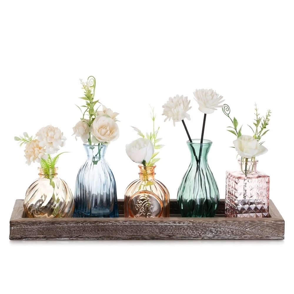 Chic Multicolor 5 Glass Vase Collection With Tray
